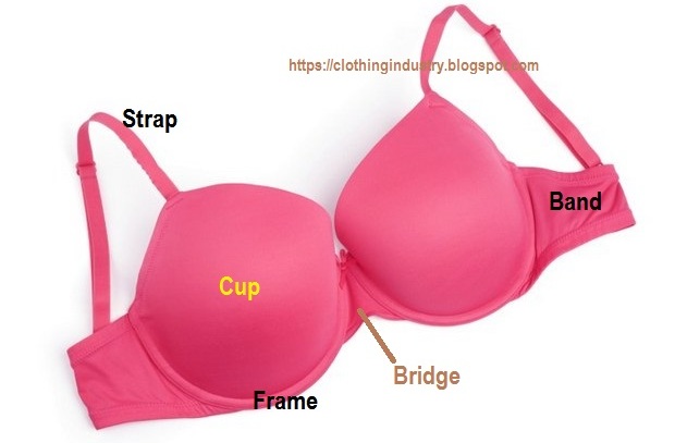 Different Parts Of A Bra