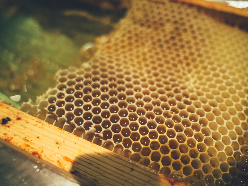 Kitchen Table at The Gilbert Scott