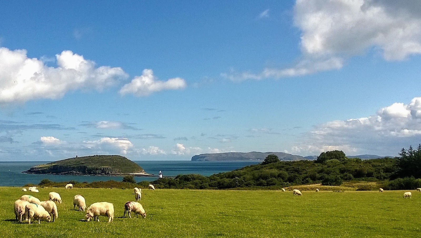 Die Kraft Der Gedanken Und Die Wissenschaft Zitate