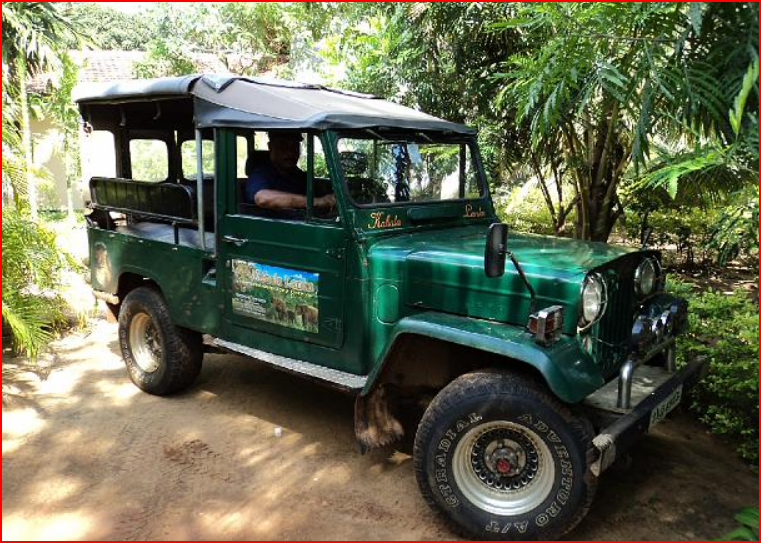 TimboBaggins Abroad: Safari at Wilpattu, Sri Lanka day trip