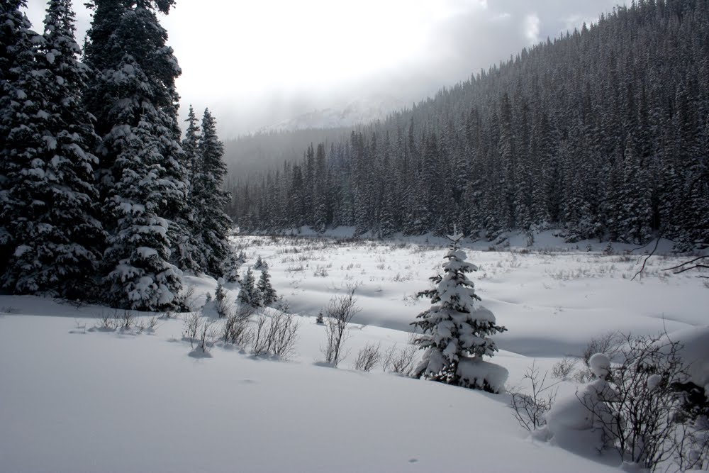 Colorado Lifestyle French Gulch Snowshoe