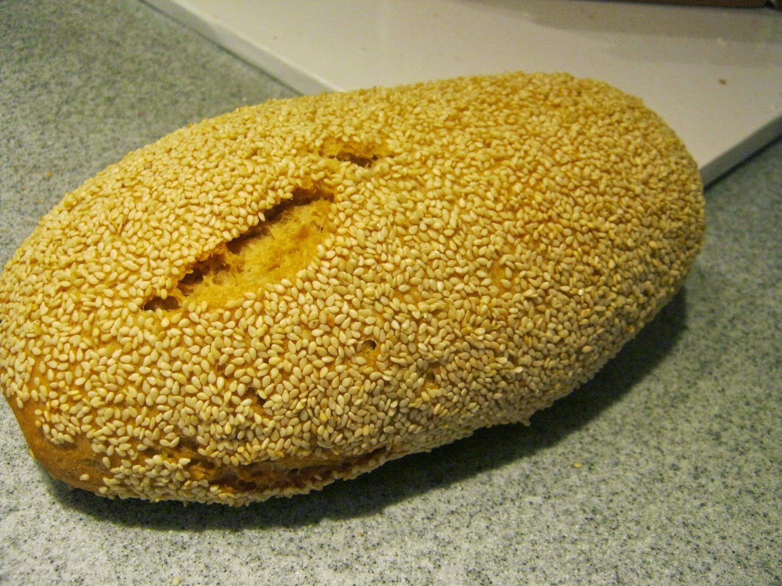 The Bread Doctor Let the Bread Rise