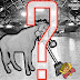 Poll: Will the Barrie Colts sweep the North Bay Battalion tonight? #OHL