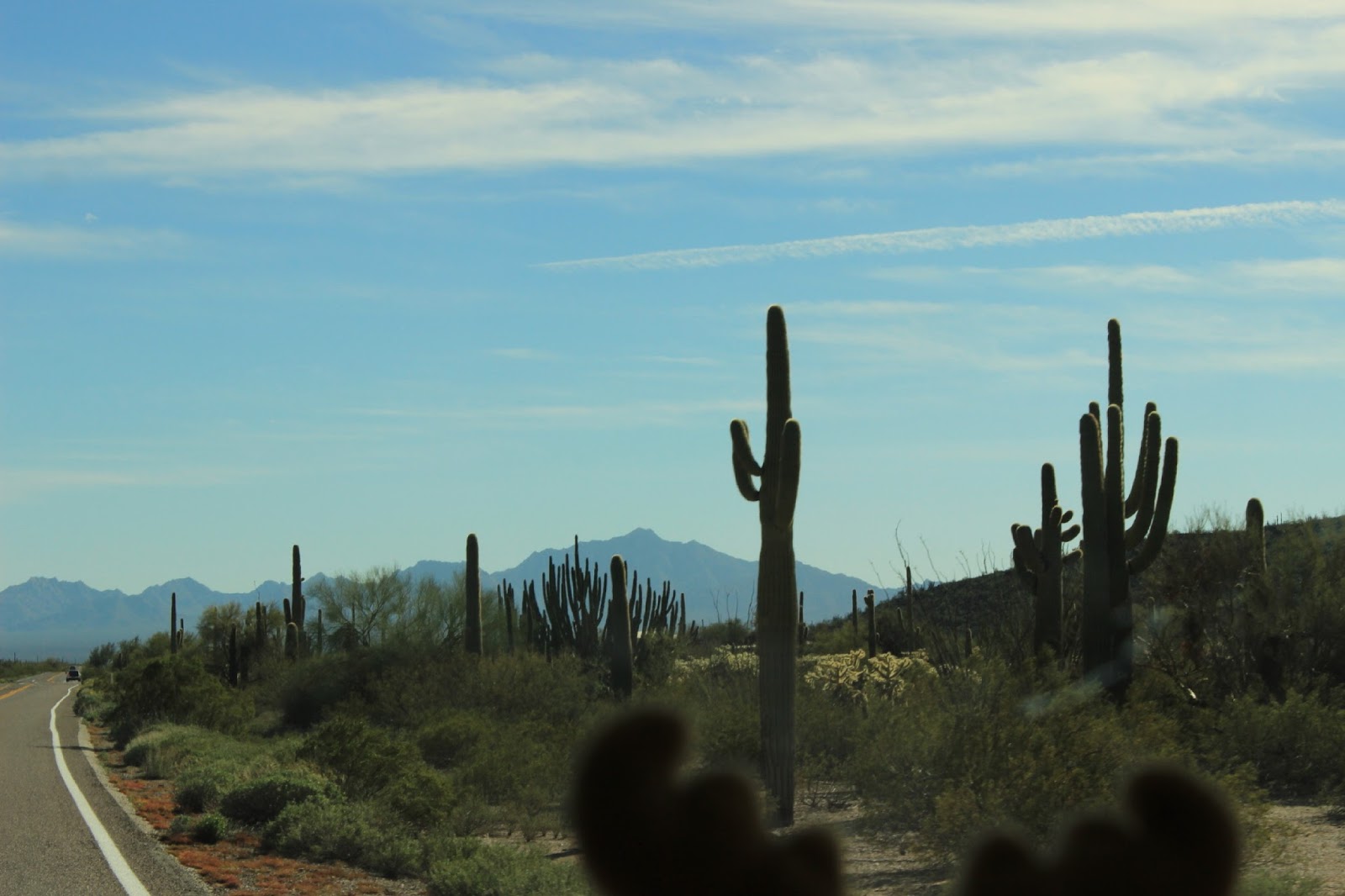 J and B and Lady Blue From Yuma, Arizona to Organ Pipe Cactus National