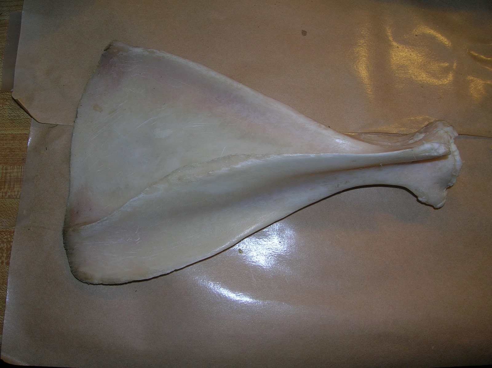 Musings of Musang How to clean and degrease deer bones for making tools