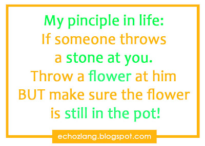 My principle in life: If someone throws a stone at you. Throw a flower at him