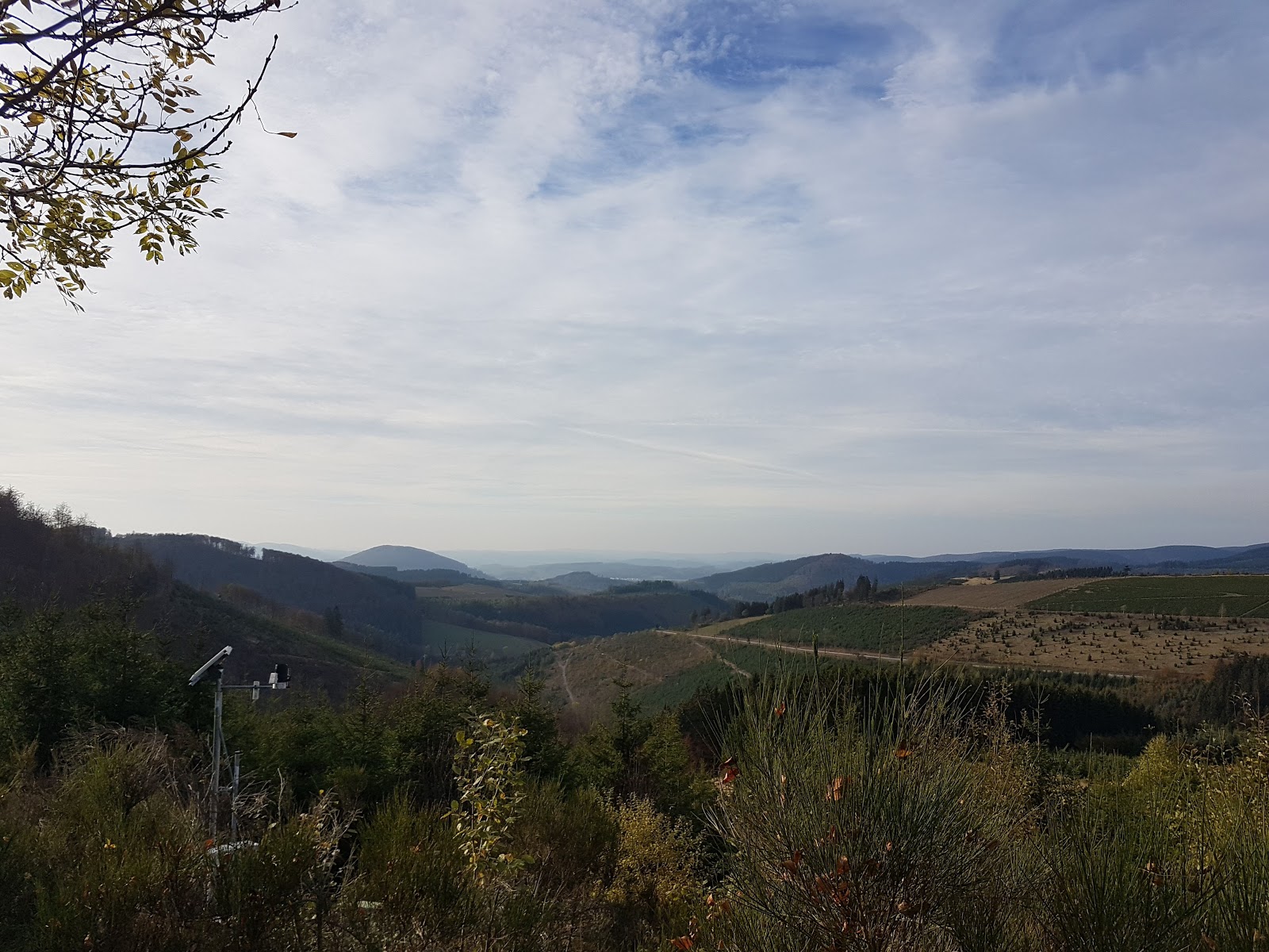 95 Best Flower Pots Pots Images Flower Pots Outdoor Gardens