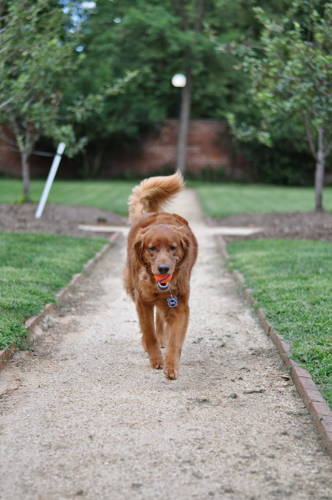 Notes from Peabody The UVA Application Process The EA Deadline is