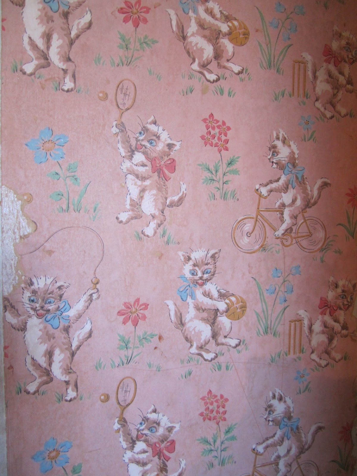 Home Improvements Vintage Cat Wallpaper Sometimes There Just Aren