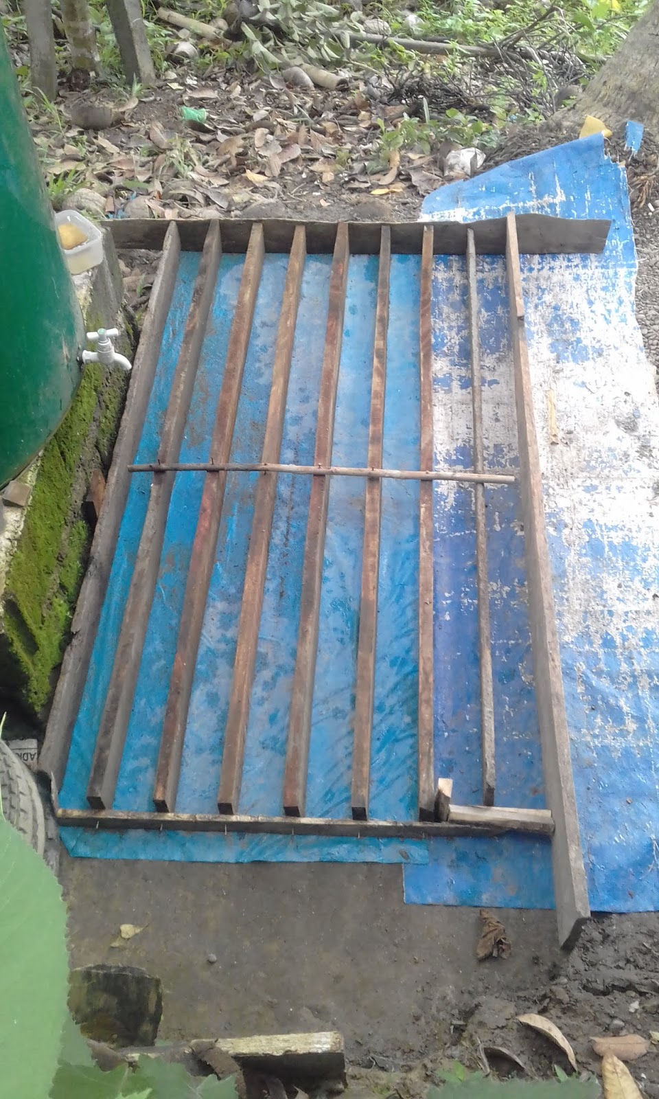 How to make your own dragon fruit cement posts