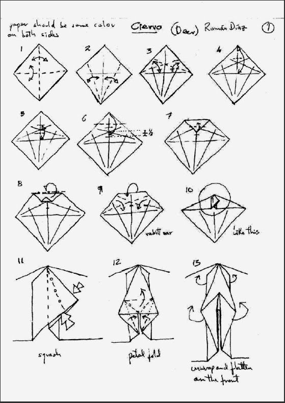 Схема пениса из бумаги