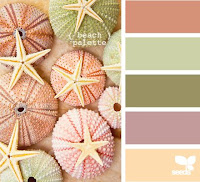 Urchin colour palette from Design Seeds