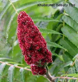 Sumac benefits