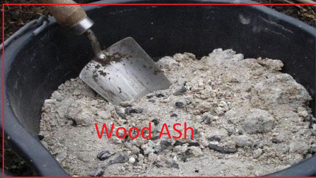 Beginner Gardening What are the Miraculous Benefit of Wood Ash