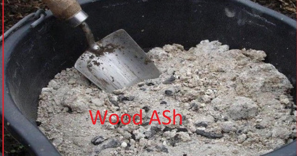 Beginner Gardening What are the Miraculous Benefit of Wood Ash