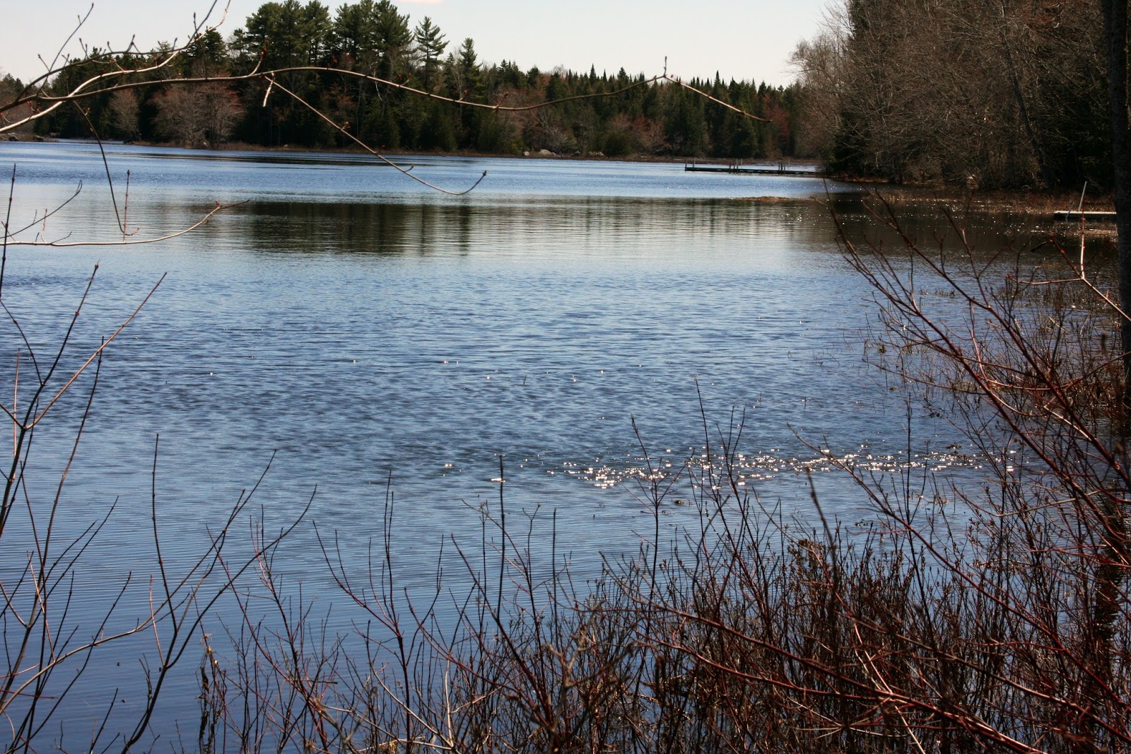 Alice Hendon The Urge to Fish is Strong