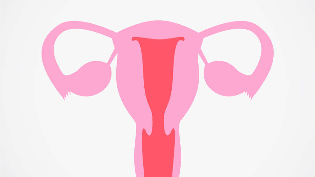 Scientist Might Have Finally Found The Cause And Cure For Polycystic Ovaries