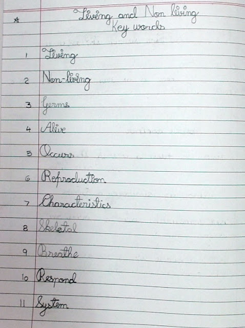 CLASS 3 EVS NOTEBOOK CLASS WORK CH1