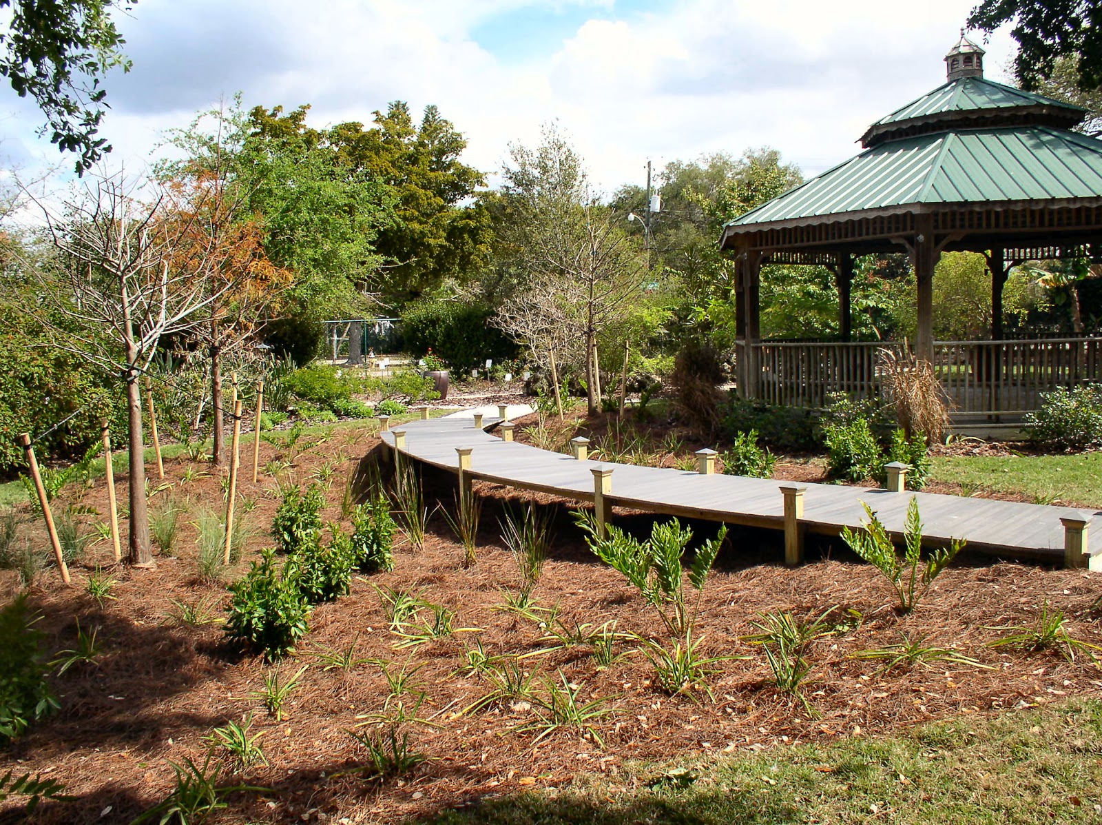 Florida Flowers and Gardens Building a Rain Garden