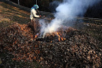 Burning Fallen Tree Leaves is Injurious to Health