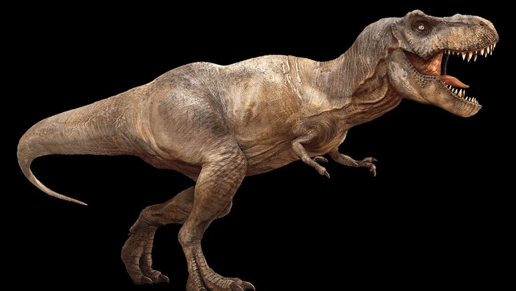 ¿Cómo era realmente el 'Tyrannosaurus rex'? (FOTO)