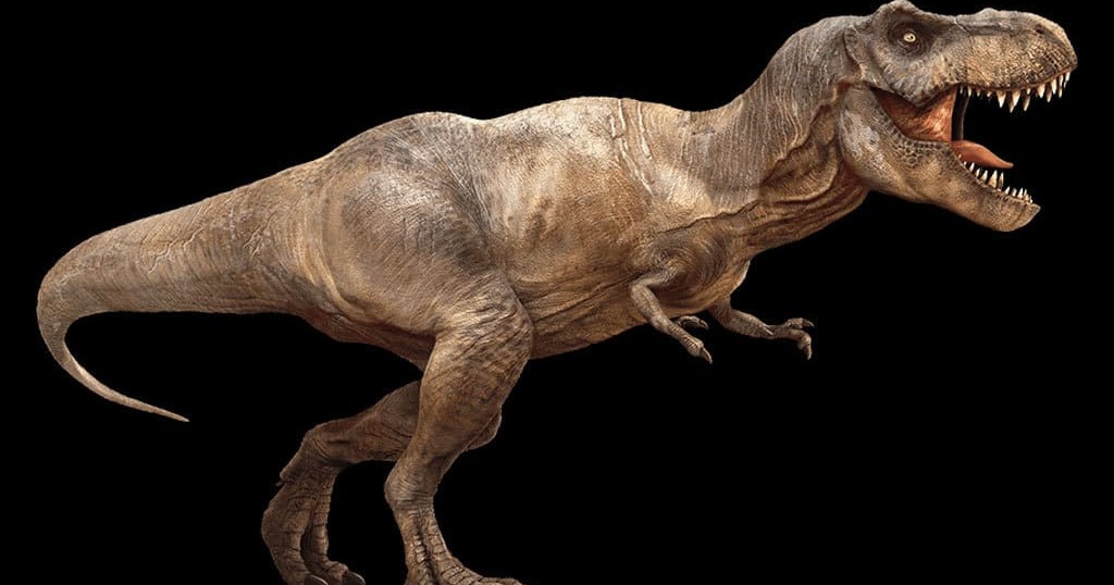 Curiosidad Noticias Internacionales