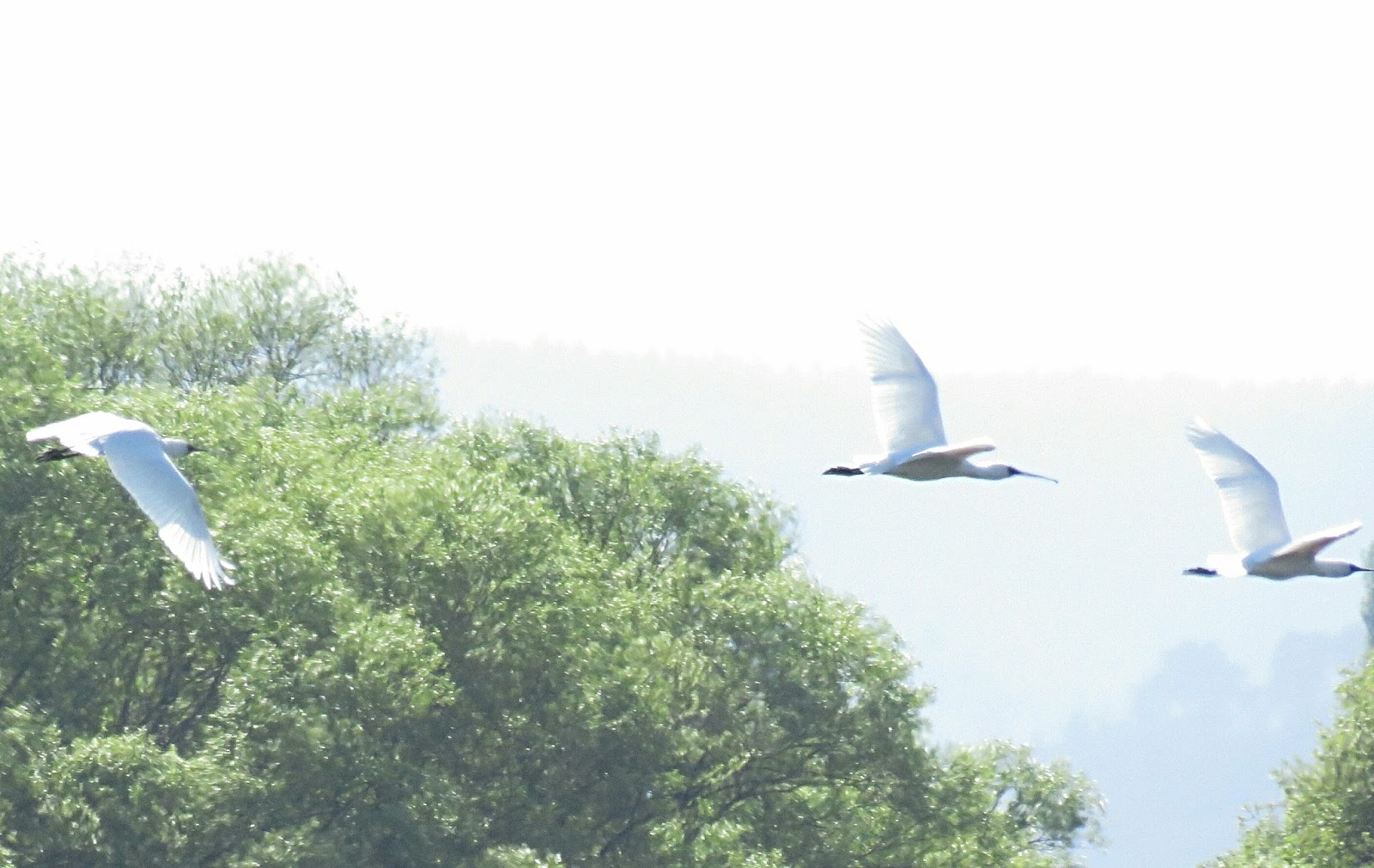 Around The World Manu Und Tanja Auf Grosser Reise Taupo Und