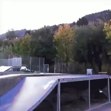 ezgif-5-cba0b940e6aa.gif