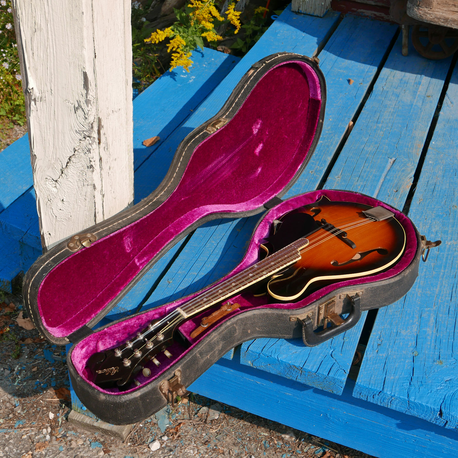 1964 Gibson A12 CarvedTop Mandolin