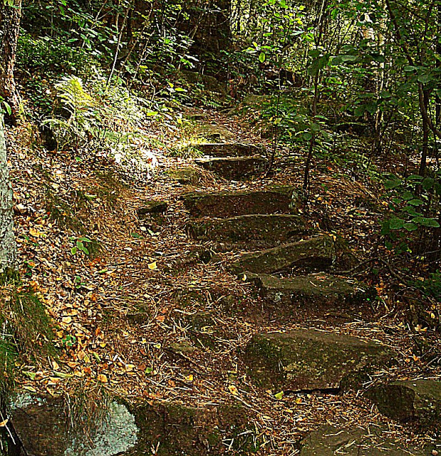 Quarksesteig Stiegen Sächsische Schweiz-Osterzgebirge