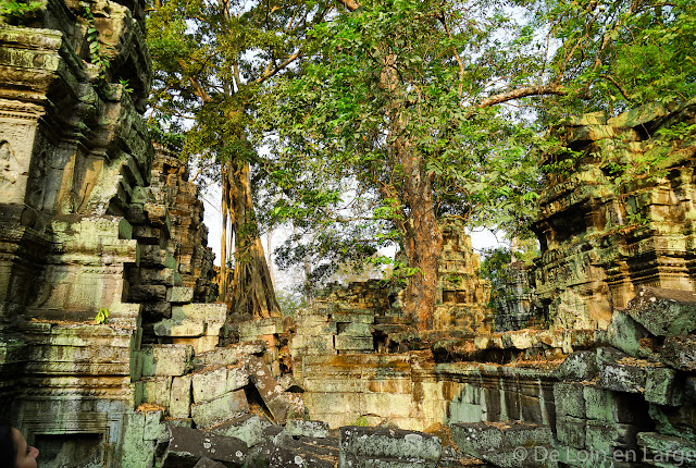 Ta Phrom - Angkor - Cambodge