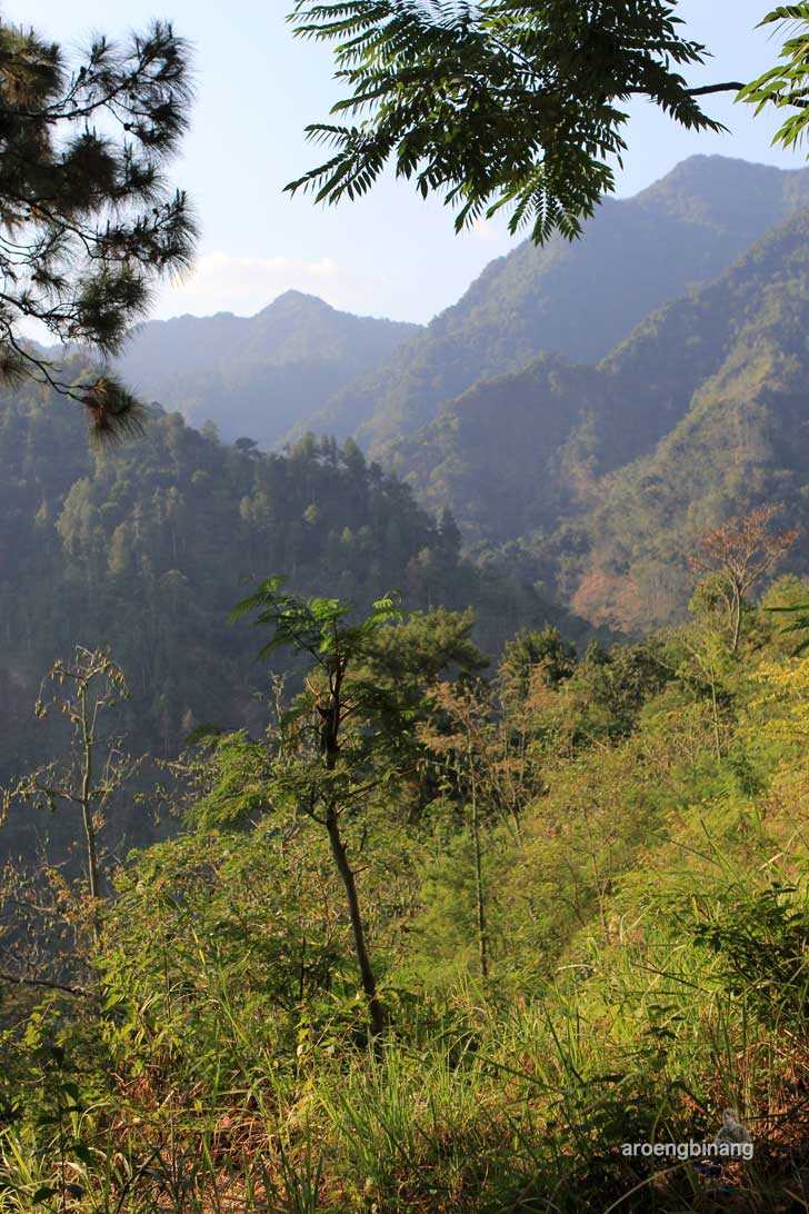 bumi perkemahan wana wisata kajar kudus