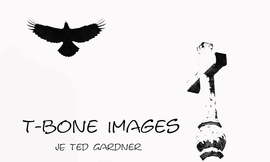 T-bone Images