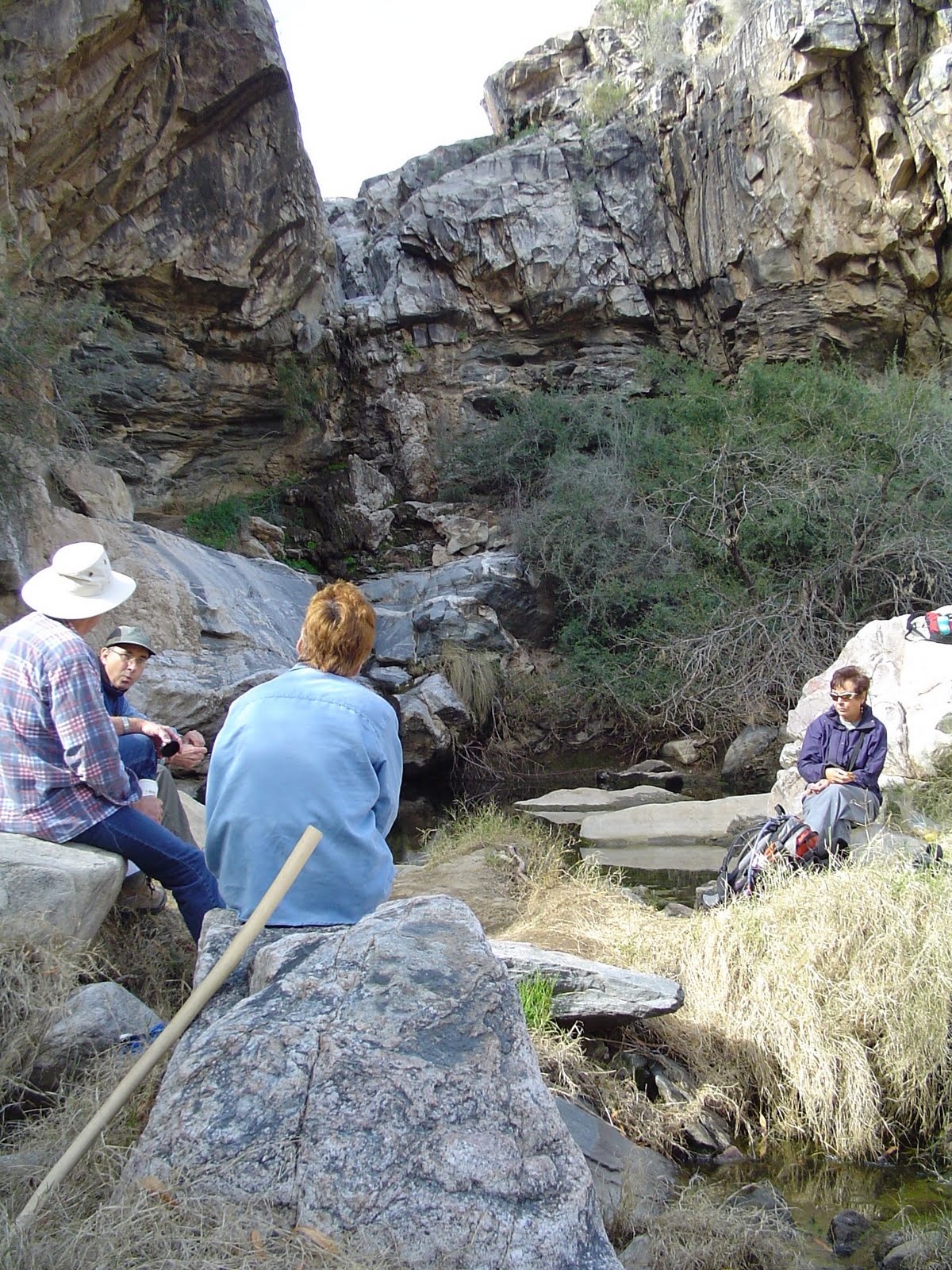 Arizona Hiking WILLOW CANYONMESQUITE LOOP