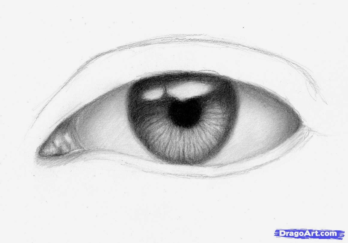 Menggambar Mata Realistis Dengan Pensil