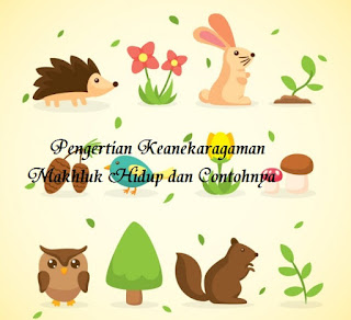 Pengertian Keanekaragaman Makhluk Hidup dan Contohnya Pengertian Keanekaragaman Makhluk Hidup dan Contohnya
