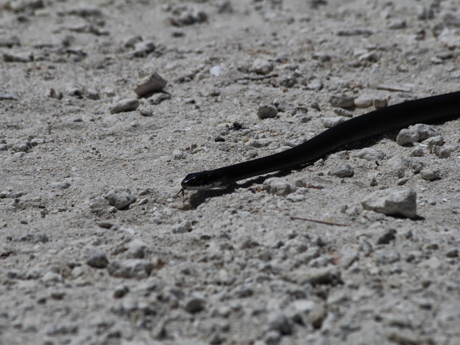 Visions From Key West