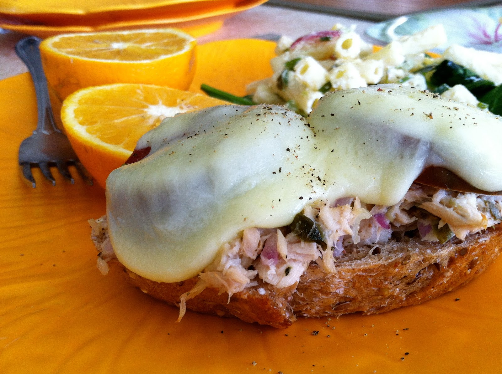 Husband Tested Recipes From Alice's Kitchen Emeril's KickedUp Tuna Melts