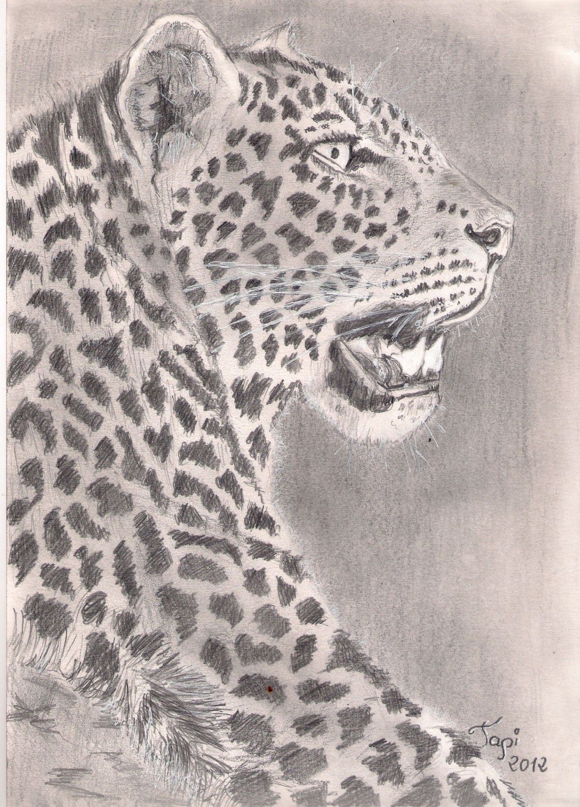 Blog de Dibujo El Tapi.: Dibujos a lapiz 3