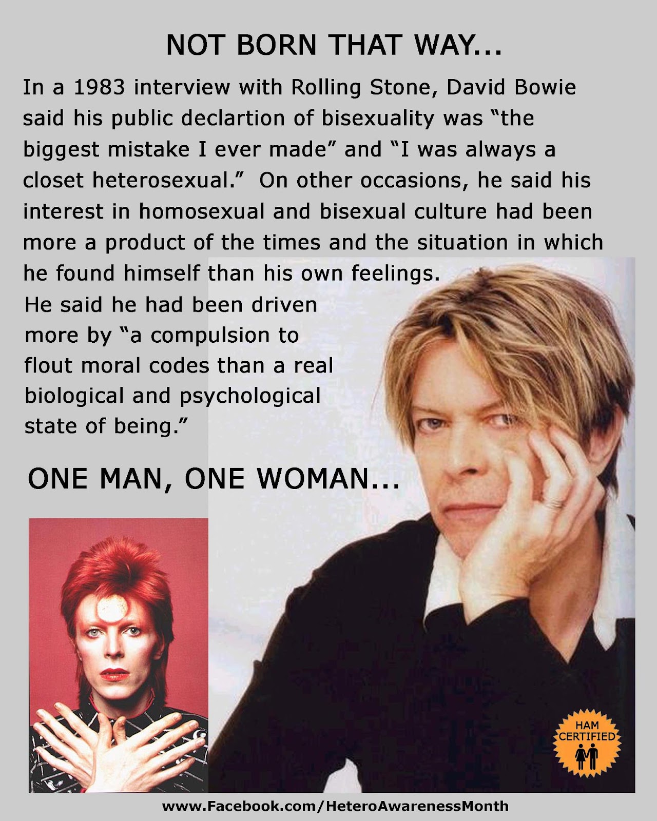 David Bowie Bisexual 25