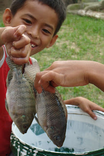 Fishing Tilapia Kids Philippines