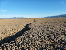 The Mysterious Cracks in the Alkali Lake