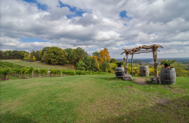 Wedding Venues On The Hudson Benmarl Winery wedding Wedding Venues On The Hudson Benmarl Winery wedding
