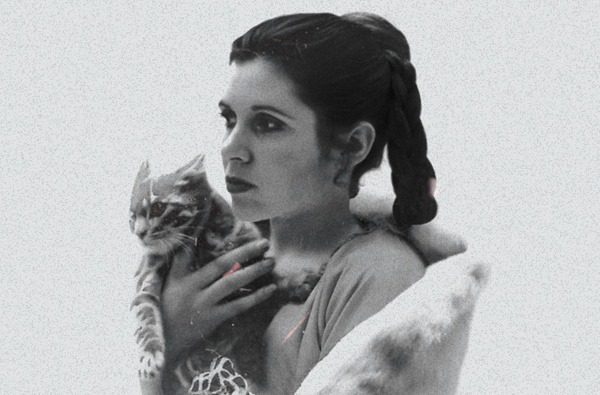 Carrie Fisher and a cat