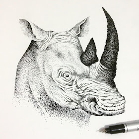 21-Rhino-Rhinoceros-Thiago-Bianchini-Eclectic-Collection-of-Drawings-and-Illustrations-www-designstack-co