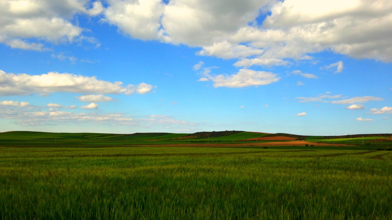 fromthetree Campo de San Pedro (02/06/13)
