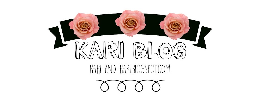 Kari Blog