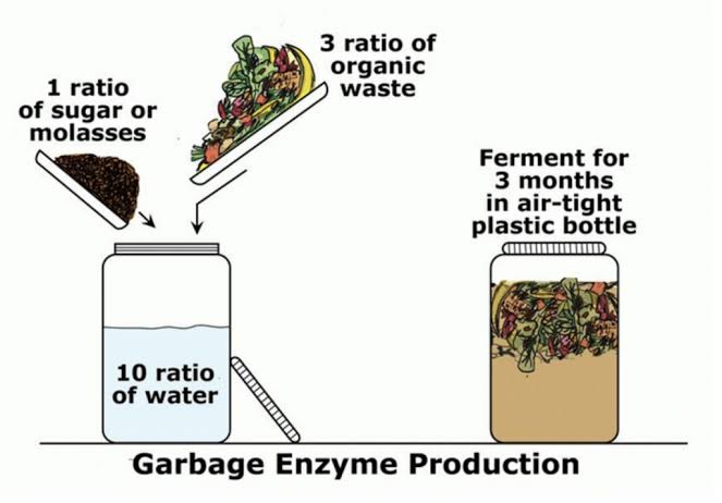 Cara Membuat Eco Enzyme