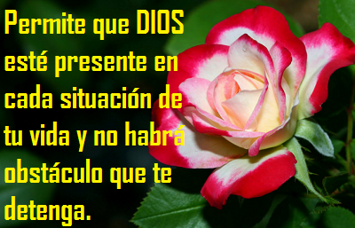 Permite Que Dios Este Presente Tarjetas Con Flores Y Frases