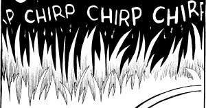 crickets+chirping.gif